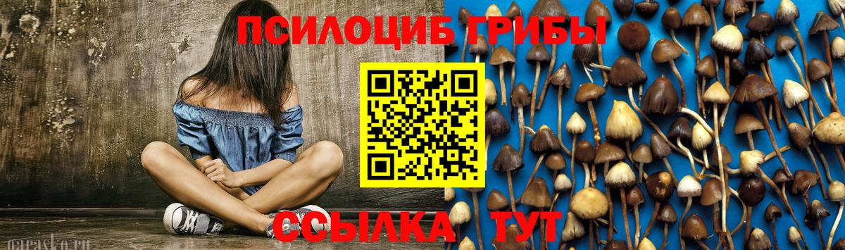 Галлюциногенные грибы Cubensis  купить   Вход с VPN  Кемерово  Псилоцибиновые грибы Psilocybine cubensis 